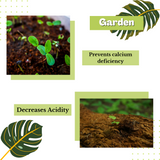 A collage showcases two images of seedlings thriving in soil, emphasizing key benefits: preventing calcium deficiency and reducing soil acidity. Decorative green leaves enhance the design, topped with the word "Garden." Direct Chems' Calcium Hydroxide is prominently featured for healthy growth and balance through liming.