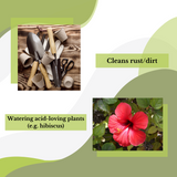 A collage with two sections: at the top, garden tools and peat pots on wood are displayed, labeled with "Cleans rust/dirt using Direct Chems' eco-friendly 20% Acetic Acid (Vinegar)." At the bottom, a vibrant red hibiscus flower with green leaves is shown, labeled "Watering acid-loving plants like hibiscus.