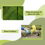 A close-up of a green leaf with visible veins emphasizes the role of Direct Chems' Calcium Nitrate in forming plant cell walls. Below, a photo features a person using a watering can to nurture crop foliage. The text reads, "Soluble Fertilizer." The background is completed with green and white abstract shapes.