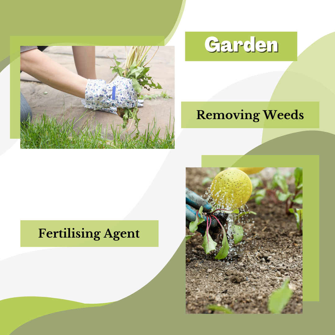 Collage titled Garden with two images: one of a gloved hand using Direct Chems&