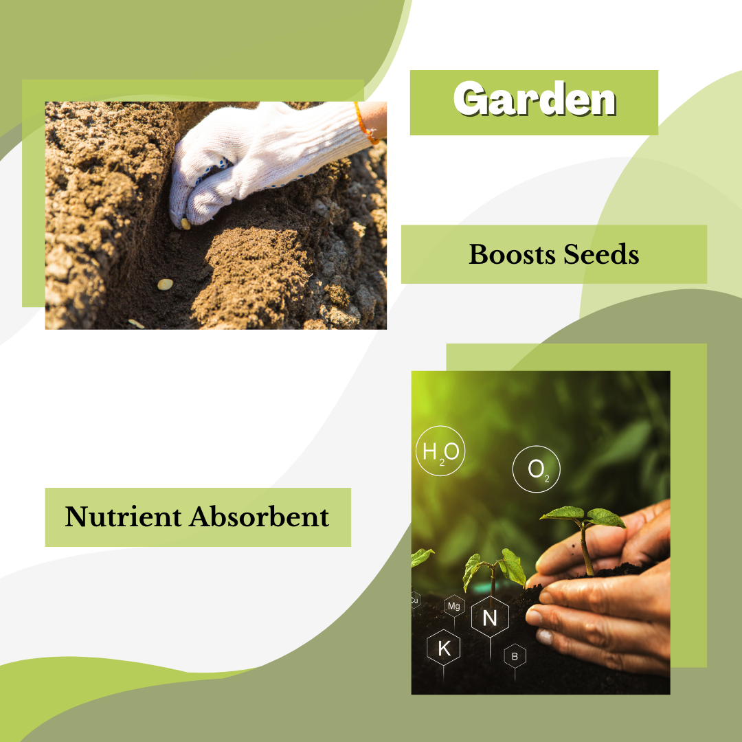 A collage featuring a green and white theme displays a hand planting a seed into the soil, accompanied by the word Epsom Salts and the phrase Nutrient Absorbent. Hands nurture seedlings intertwined with chemical symbols such as H2O and K, emphasizing the significance of magnesium sulphate. The text Boosts Seeds stands out prominently in the center.