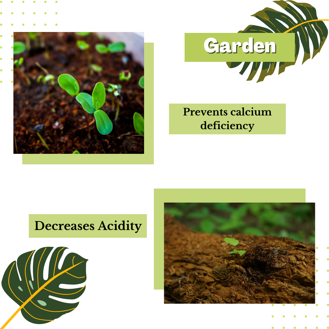 A collage showcases two images of seedlings thriving in soil, emphasizing key benefits: preventing calcium deficiency and reducing soil acidity. Decorative green leaves enhance the design, topped with the word "Garden." Direct Chems&