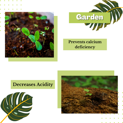 A collage showcases two images of seedlings thriving in soil, emphasizing key benefits: preventing calcium deficiency and reducing soil acidity. Decorative green leaves enhance the design, topped with the word "Garden." Direct Chems&