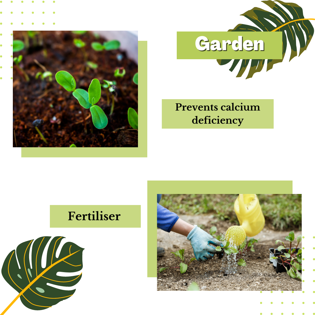 A collage with two images: one displays small green seedlings in soil, labeled "Direct Chems Garden" and highlighting "Prevents calcium deficiency with Calcium Chloride." The other illustrates a person watering a plant, surrounded by tropical leaves, labeled "Fertiliser.