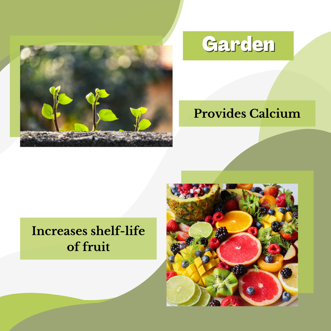 A collage of two images set on a green and white abstract background: one image features a sprouting plant in soil labeled "Garden" with the text "Provides Calcium," showcasing the benefits of Direct Chems&