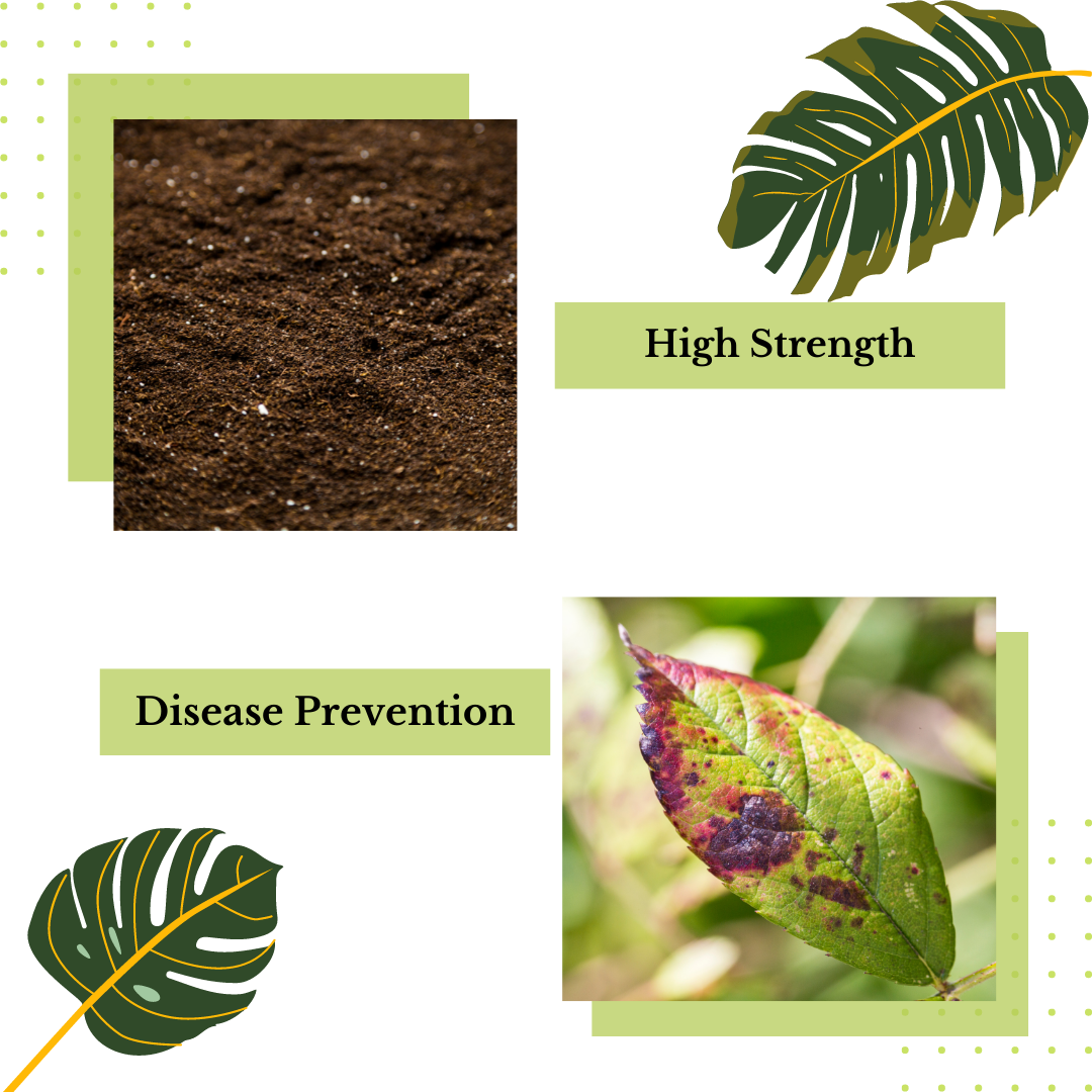 The collage consists of two sections: "High Strength" is illustrated with a close-up of soil enriched with Direct Chems&