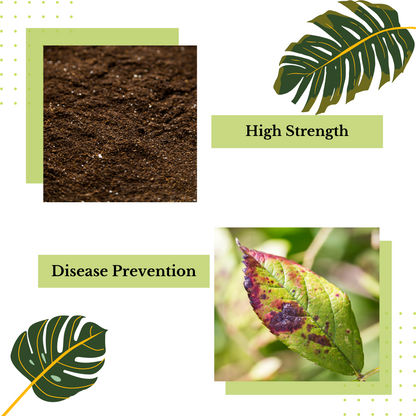 The collage consists of two sections: "High Strength" is illustrated with a close-up of soil enriched with Direct Chems&