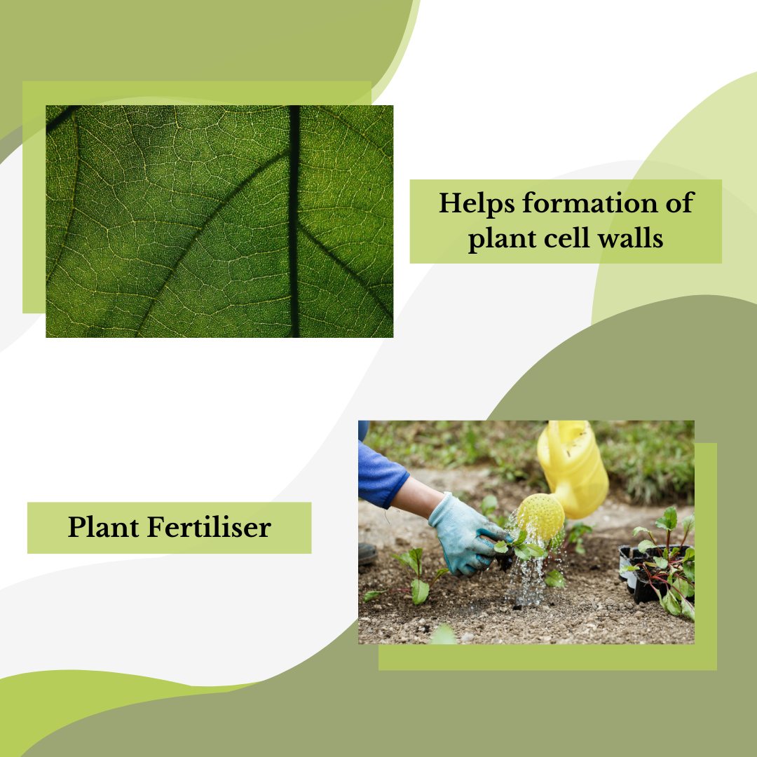 A close-up of a green leaf with visible veins emphasizes the role of Direct Chems&